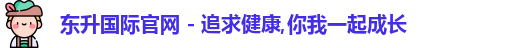 东升国际